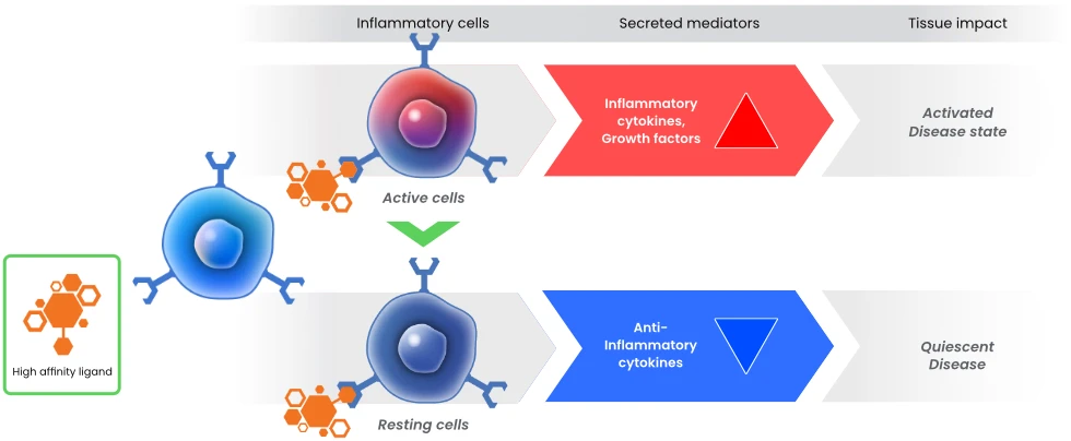 Glyco-Immune Therapeutics in AMD Cellular Process